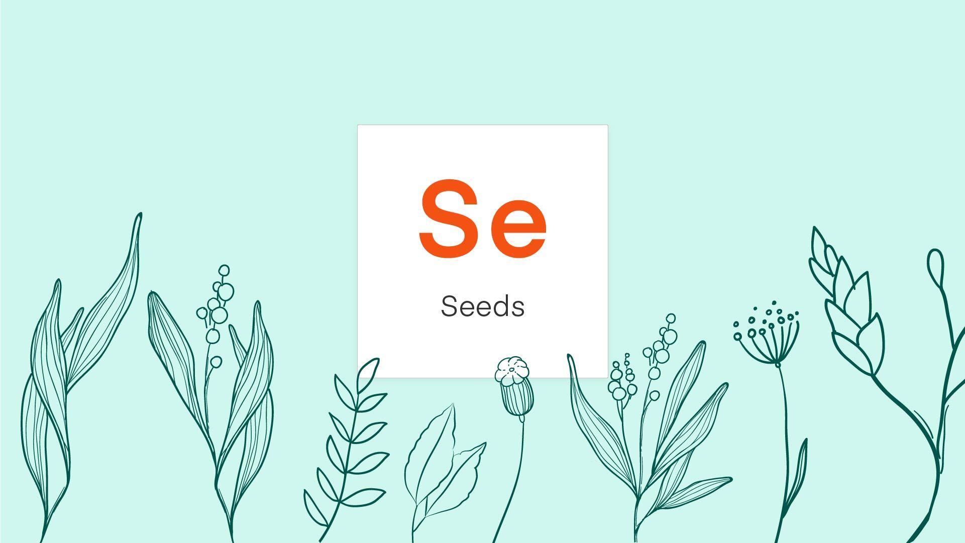 Graphic shows a box with the letters "Se" and "Seeds" below it against a green background with flowers