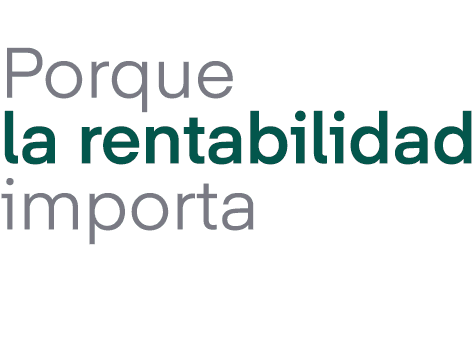 Porque la rentabilidad importa